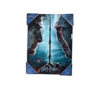 Harry Potter Poster Di Vetro Harry & Voldemort 30 X 40 Cm Sd Toys