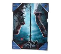 Harry Potter Poster Di Vetro Harry & Voldemort 30 X 40 Cm Sd Toys