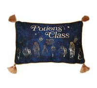 Harry Potter Potions Class velvet cushion