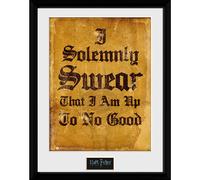 Harry Potter Quadretto Con Cornice Framed Print I Solemnly Swear (30.5 x 40.6cm)