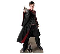 Harry Potter - Quidditch Captain - Espositore in cartone a grandezza naturale - dimensioni 88 x 170 cm