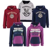 Harry Potter - Ragazza Ragazzo - Felpa Cappuccio Full Print - Autunno Inverno - Licenza Ufficiale [0206 Grigio - 7 Anni]
