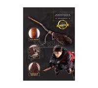 Harry Potter Replica 1/1 Firebolt Broom 2022 Edition Cinereplicas