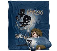 HARRY POTTER Silky Touch Super Soft Throw Blanket 152 x 127 cm