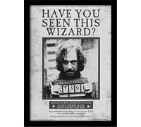 HARRY POTTER (SIRIUS WANTED)