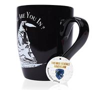 Harry Potter Sorting Hat Mug - Ravenclaw, Heat Reveals The Hidden Hogwarts House, Thermal Pattern Change