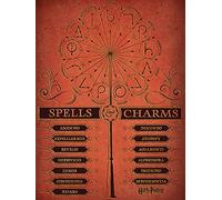 Harry Potter Spells & ciondoli 60 x 80 cm Stampa su Tela, Multicolore