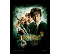 Harry Potter Stampa incorniciata Camera dei segreti, 30 x 40 cm