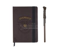 E_0002_S0734146 Harry Potter Set di Cancelleria Harry Potter Marrone Consumabili
