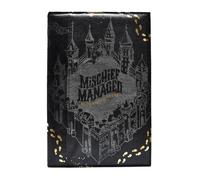 Harry Potter - Taccuino tascabile (21 cm x 14,5 cm) (nero/grigio/giallo oro)