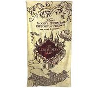 HARRY POTTER Telo da Mare, Multicolore, Taglia Unica
