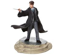 HARRY POTTER Tom Riddle Figurine Unisex Action Figure da Collezione Standard Resina