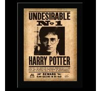 Harry Potter - Undesirable No. 1 Sign ( Nnxt0023 ) ACC NUOVO