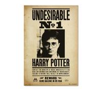 Harry Potter Undesirable Number 1 poster Erik