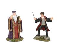 Harry Potter Village Harry and The Headmaster, 8 cm