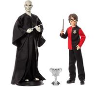 Harry Potter Voldemort + Harry