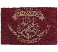 Harry Potter Welcome To Hogwarts Unisex Zerbino multicolore PVC