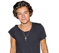 Harry Styles (Casual) Half Body Buddy Cutout