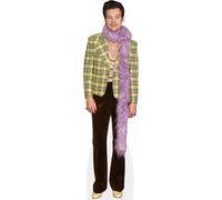 Harry Styles (Feather Boa) mini formato