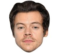 Harry Styles (Stubble) Big Head