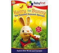 Harry The Bunny