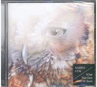 Harrys Gym - What Was Ours Can'T Be Yours