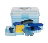 Harry's Horse 36002011-16 - Cassetta per la pulizia completa, luce