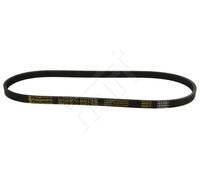 HART Cinghia A V Per Suzuki Swift IV 1.6 Wagon R+ 1.3 Honda Civic VI
