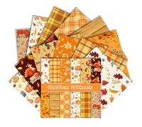 Harvest Festival - 24 fogli di carta per scrapbooking, 30 x 30 cm, motivo zucche su entrambi i lati, per realizzare biglietti, origami, diari autunnali, decorazioni autunnali (C, 30 x 30 cm)