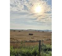 Harvest in Stillness: A creative companion from BROH Line Studio’s Scenic Art Edition