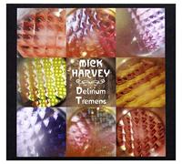 Harvey Mick( Songs Of Serge Gainsbourg) - Delirium Tremens