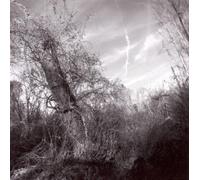 Harvey Milk - Small Turn of Human Kindness by Harvey Milk (2010) Audio CD