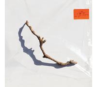 PJ Harvey I Inside the Old Year Dying (CD) Album