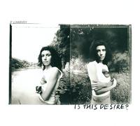 Harvey Pj - Is This Desire?