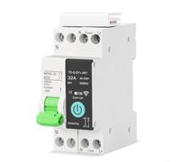 Hasaller Interruttore intelligente WiFi con contatore di energia e timer per Alexa e Google Assistant 10A-32A 1P+N montaggio su guida DIN, bianco, confezione da 2 (32 A)