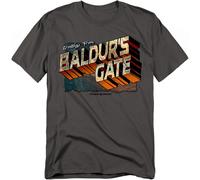 Hasbro - Dungeons And Dragons - Baldurs Gate - T-Shirt Unisex Adulti - Grigio