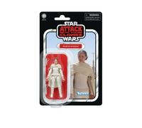 Star Wars Hasbro, The Vintage Collection, Padmé Amidala, action figure collezionabile per adulti ispirata al film L'attacco dei cloni, da 9,5 cm