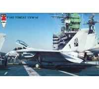HASEGAWA 1/48 F-14D TOMCAT CVW-14