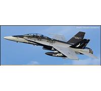 HASEGAWA 1/72 KIT AEREO F/A 18D HORNET VMFA 115 EAGLES MODELLINO AUTO STATICO