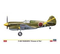 HASEGAWA 52104 P-40e Warhawk " Prisoner Of War " 1/48. Hunter USA - Captured Da