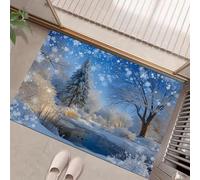 HASLEFND Zerbino 60 x 90 cm, per ingresso, antiscivolo, lavabile, per interni, a pelo corto,Scena innevata da sogno Un ruscello scorre nella neve., piccolo tappeto per camera da lettoBianco e Blu
