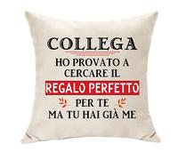 Hasodeo Regalo Collega Compleanno da Amici Ho Provato A Cercare il Regalo Perfetto per Te Ma tu Hai Già Me Copricuscino 45 x 45 Idee Regali per Collega Originale Regali di Addio di Promozione
