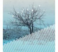 Hatakeyama, Chihei - Winter Storm