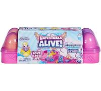 HATCHIMALS Alive |Confezione con 5 Mini Personaggi in Uova Che Si schiudono da Sole con l’Acqua, 11 Accessori, Giocattoli per Bambine e Bambini dai 3 Anni in su