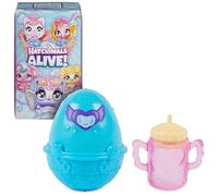 HATCHIMALS Alive, Confezione Singola con Mini Personaggi in Uova Che Si Schiudono con l'Acqua, Giocattoli per Bambine e Bambini, 3+ Anni (i Modelli Possono variare)