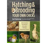 Hatching & Brooding Your Own Chicks: Chickens, Turkeys, Ducks, Geese, Guinea Fowl