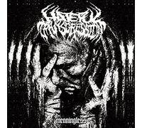 Hateful Transgression - Meaningless