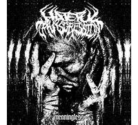 Hateful Transgression - Meaningless