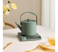 HATTORI - Bollitore Elettrico Da 0,5 L Con Controllo Della Temperatura Salvia