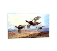 Hau3sh3a Archibald Thorburn Stampa su tela Gallo cedrone in volo Quadro Riproduzione su tela Telaio Uccelli Poster Decorazione Parete Soggiorno Camera da Letto95x60cm(37x24in) Con cornice